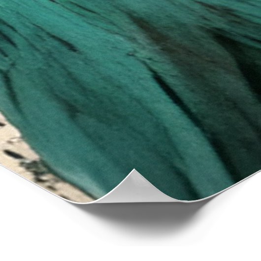 Vogel in Kronkolage Poster (Ecke)