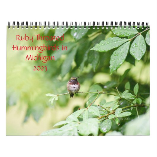 Vögel in Michigan Kalender (Titelbild)