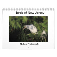 Vögel in New Jersey
