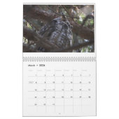 Vögel in New Jersey Kalender (Mär 2026)