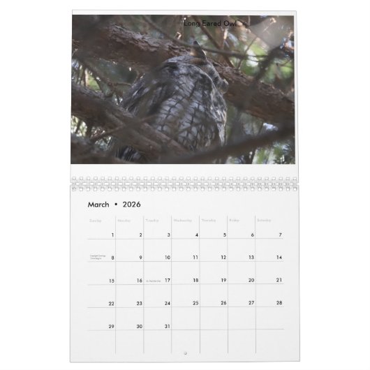 Vögel in New Jersey Kalender (Mär 2026)