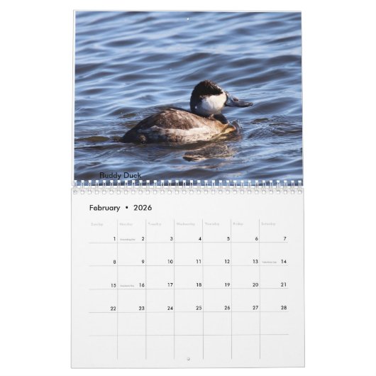 Vögel in New Jersey Kalender (Feb 2026)