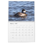 Vögel in New Jersey Kalender (Feb 2027)