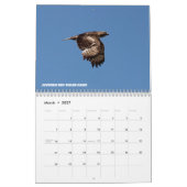 Vögel in Nord-Idaho Kalender (Mär 2027)