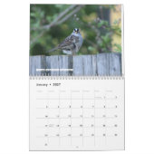 Vögel in Nord-Idaho Kalender (Jan 2027)