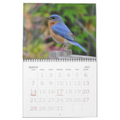 Vögel in Nordamerika Kalender (Mär 2027)