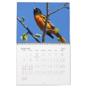 Vögel in Nordamerika Kalender (Feb 2027)