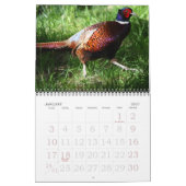 Vögel in Nordamerika Kalender (Jan 2027)