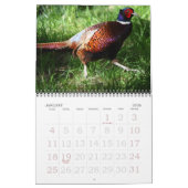 Vögel in Nordamerika Kalender (Jan 2026)