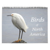 Vögel in Nordamerika Kalender (Titelbild)