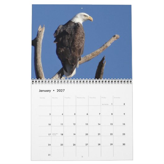 Vögel in Nordamerika Kalender (Jan 2027)