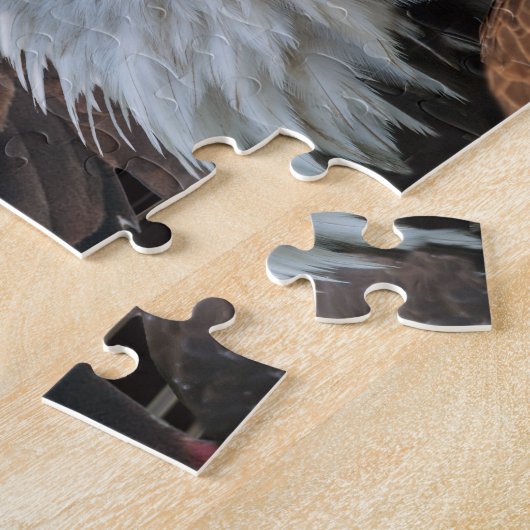 Vögel in Nordamerika Puzzle (Seite)