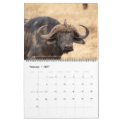 Vögel in Ostafrika - Kalender 2026 (Feb 2027)