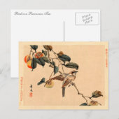 Vogel in PersimmonTree Postkarte (Vorne/Hinten)