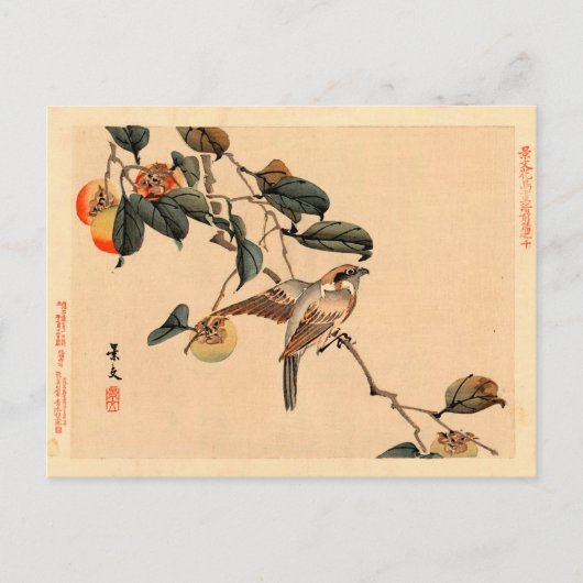 Vogel in PersimmonTree Postkarte (Vorderseite)