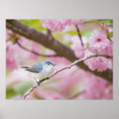 Vogel in rosa Blossom Tree Poster (Vorne)