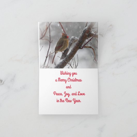 Vögel in Schnee Weihnachtskarte Karte (Innenseite)