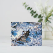 Vögel in schneebedeckten Zweigen Postkarte (Stehend Vorderseite)