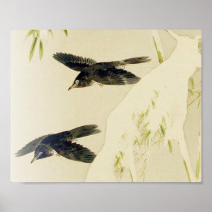 Vogel in Schneeszene, Watanabe Seitei Poster