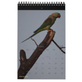 Vögel in Silhouette 2026 Natur-Foto Kalender (Jan 2026)