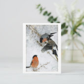 Vogel in Snow, Bruno Liljefors Postkarte (Stehend Vorderseite)