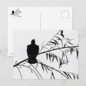 Vogel in Song Postkarte (Vorne/Hinten)