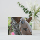 Vogel in Tree Kauai Postkarte (Stehend Vorderseite)