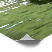 Vögel in Wasserplakat Poster (Ecke)