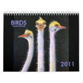 VÖGEL, IRGENDEIN MERKWÜRDIGES, 2011 KALENDER (Titelbild)