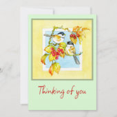 Vögel jederzeit Karte (Vorderseite)