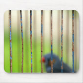 Vögel, Käfig, Bars Mousepad (Vorne)