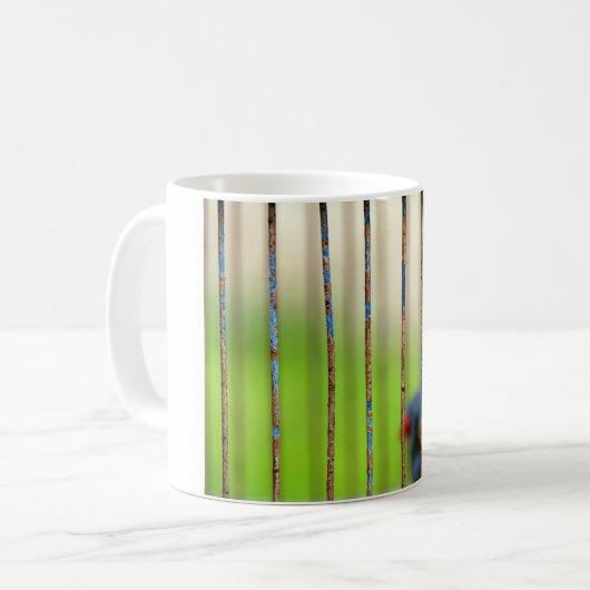 Vogel, Käfig Kaffeetasse (Vorderseite Links)