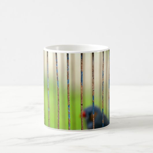 Vogel, Käfig Kaffeetasse (Mittel)