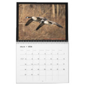 Vögel Kalender (Mär 2026)