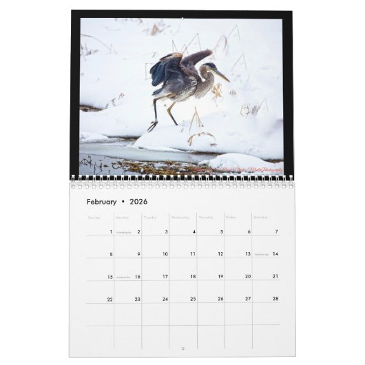 Vögel Kalender (Feb 2026)