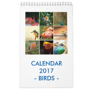 Vögel Kalender