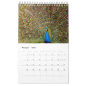 Vögel Kalender (Feb 2026)