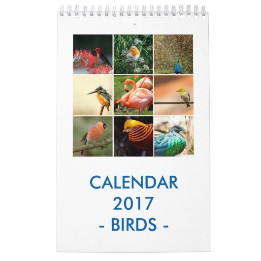 Vögel Kalender (Titelbild)