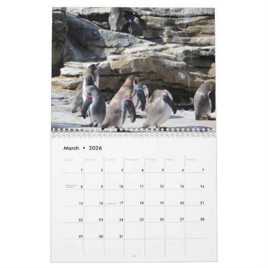 Vögel Kalender (Mär 2026)