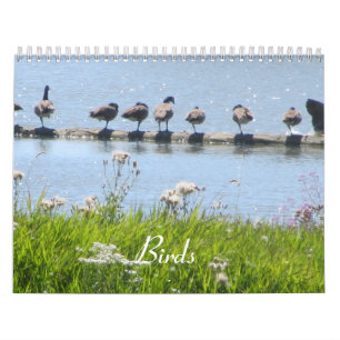 Vögel Kalender