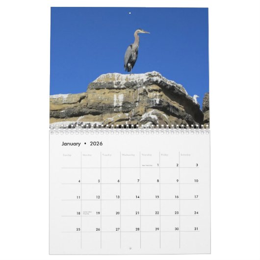 Vögel Kalender (Jan 2026)