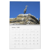 Vögel Kalender (Jan 2027)
