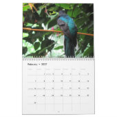 Vögel Kalender (Feb 2027)