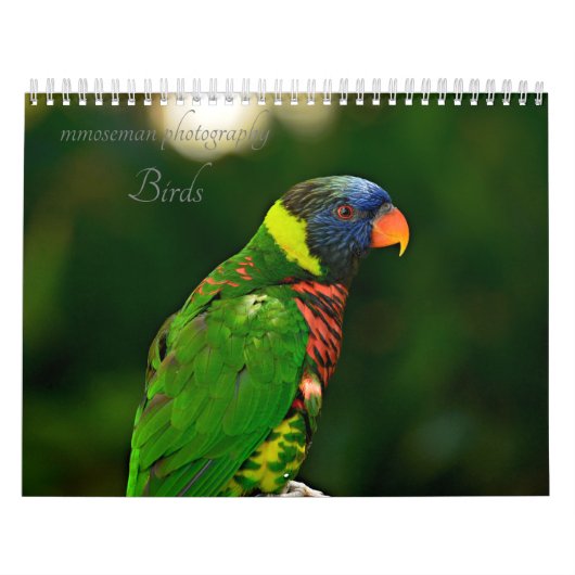 Vögel Kalender (Titelbild)