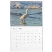 Vögel Kalender (Feb 2027)