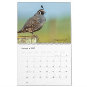 Vögel Kalender (Jan 2027)