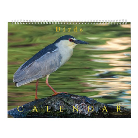 Vögel Kalender (Titelbild)