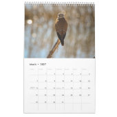 Vögel Kalender (Mär 2027)