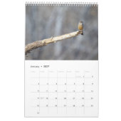 Vögel Kalender (Jan 2027)