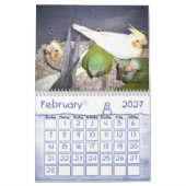Vogel-Kalender 1 Kalender (Feb 2027)